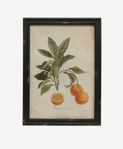 Botanical Orange Wall Art