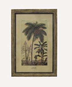 Botanical Wall Art Species B