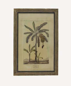 Botanical Wall Art Species A
