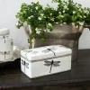 Dragonfly Storage Box