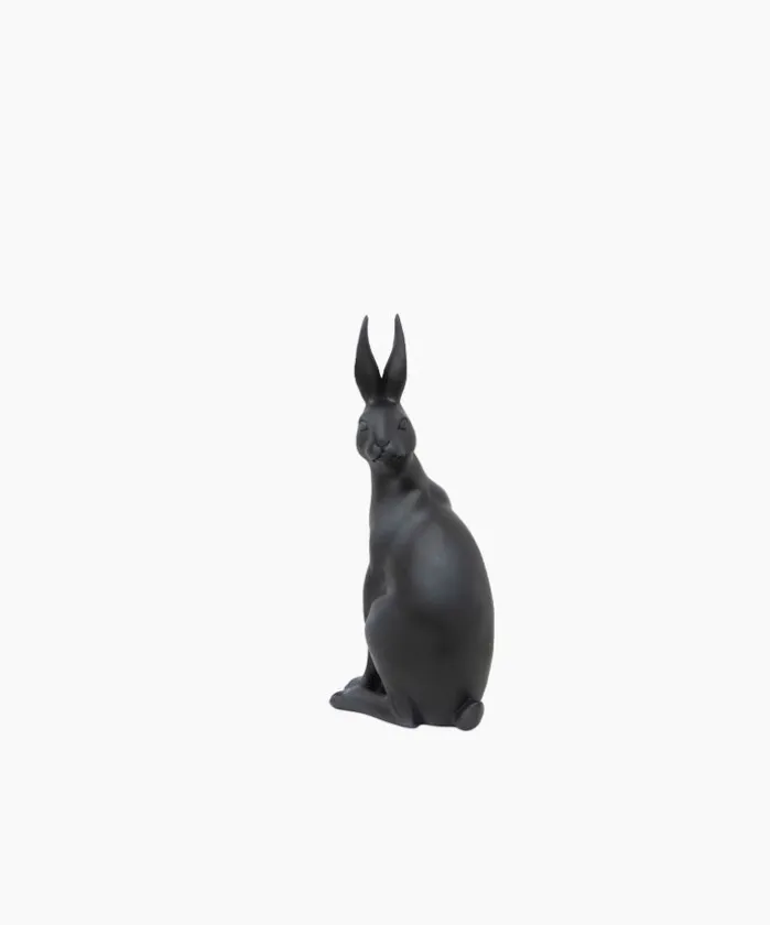 Harold the Hare Turning Black