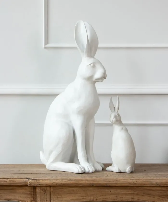 Harold the Hare Turning White