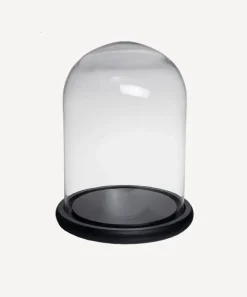 Medium Dome Black Base