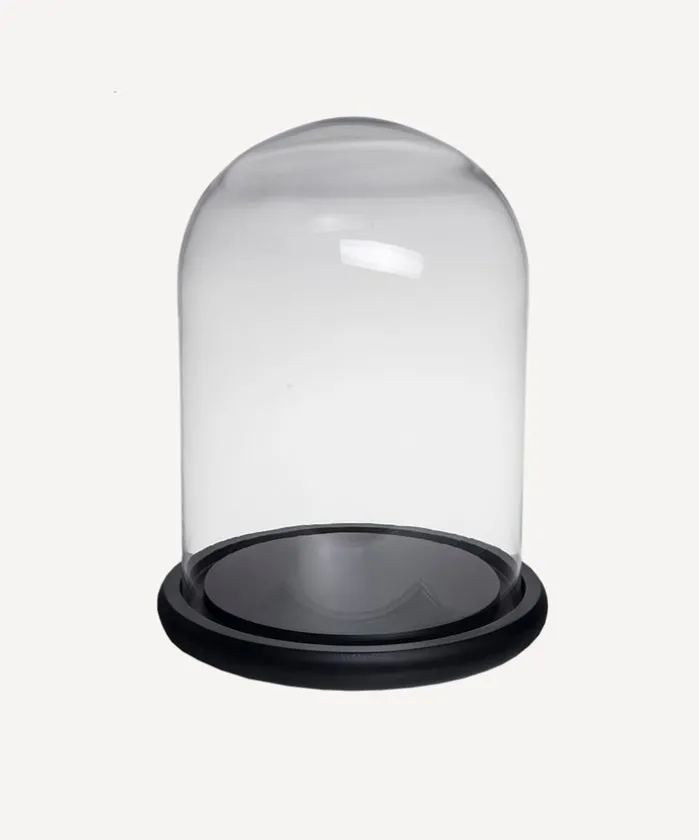 Medium Dome Black Base