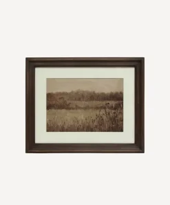 Pastural Glade Landscape